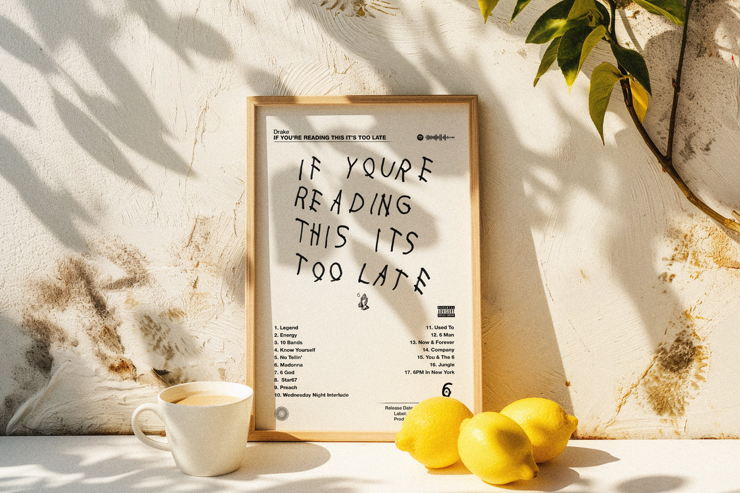 Drake - If You’re Reading This It’s Too Late | Album Cover Poster | Wall of Fame Prints
