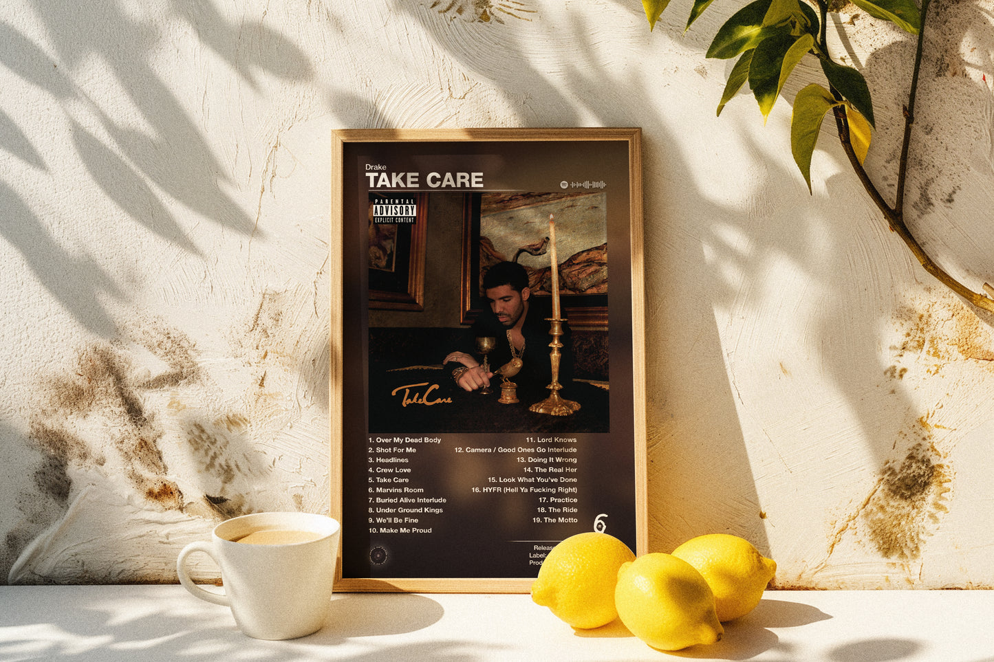Drake - Take Care | Album Cover Poster | Wall of Fame Prints